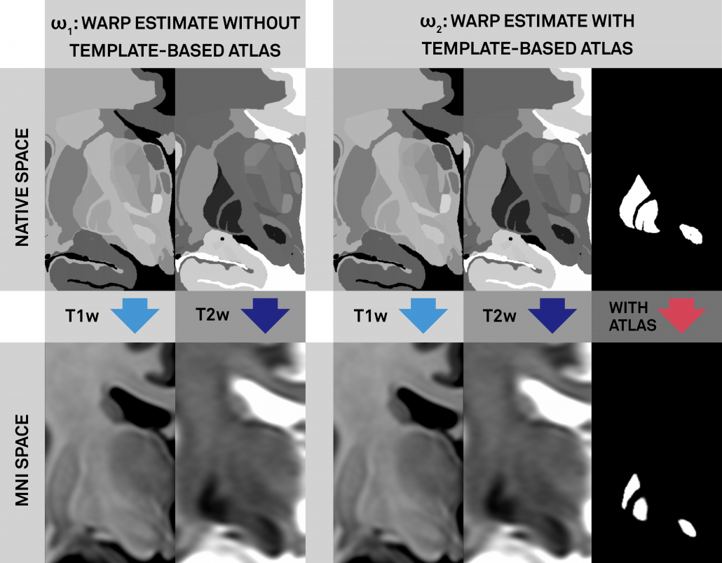 distal_fig_4