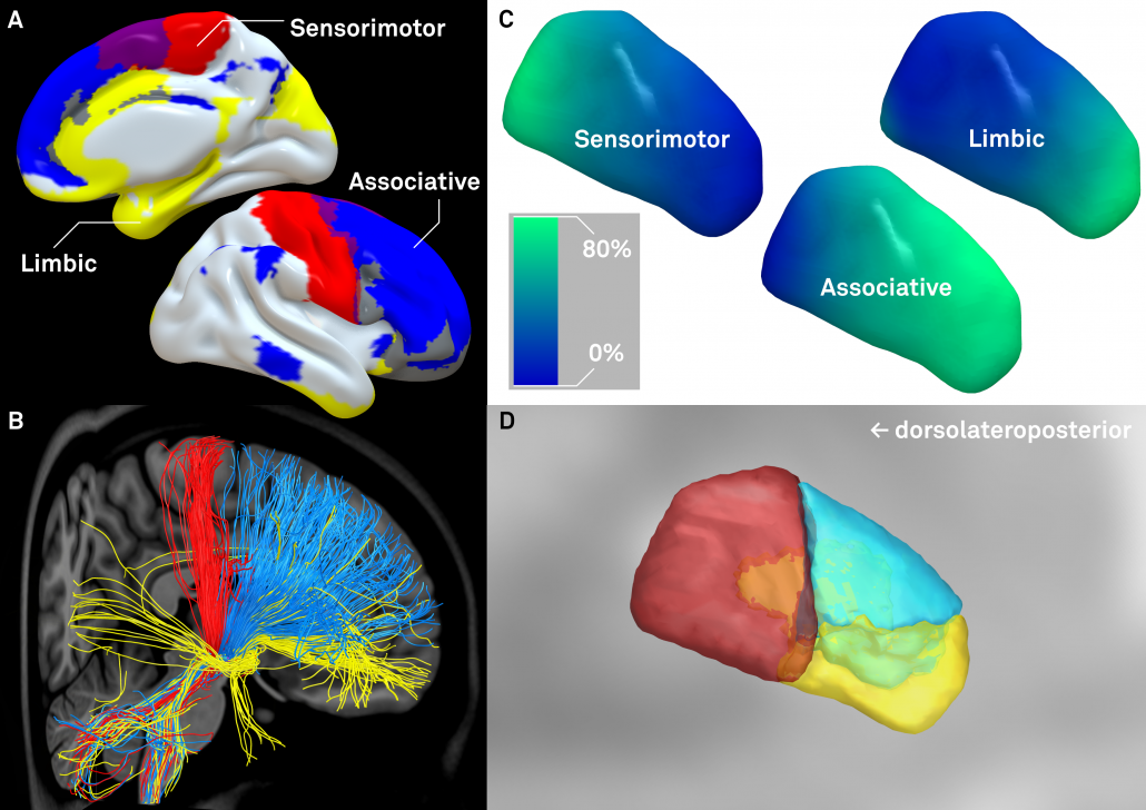 distal_fig_6