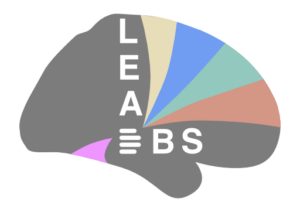 Lead-DBS