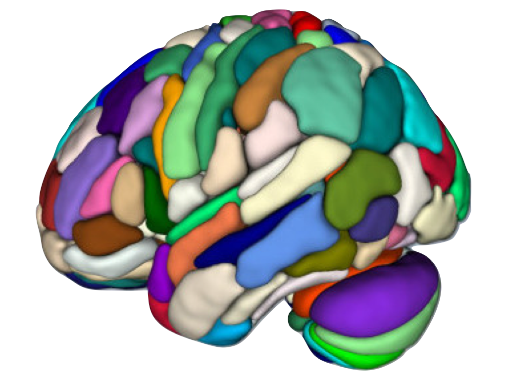 Cortical Atlas Parcellations Mni Space Lead Dbs